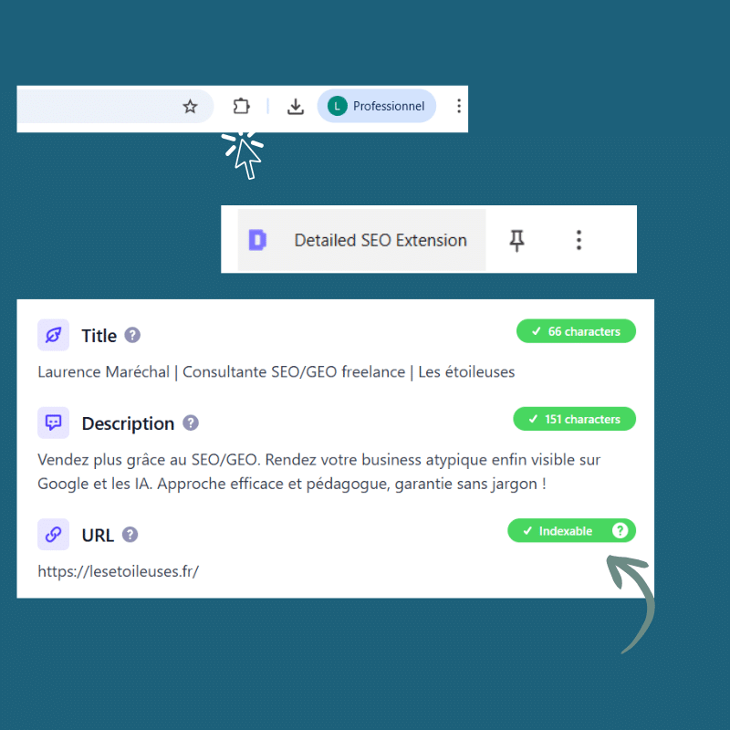 detailed seo extension chrome