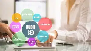 illustration de l'interet de l'audit seo