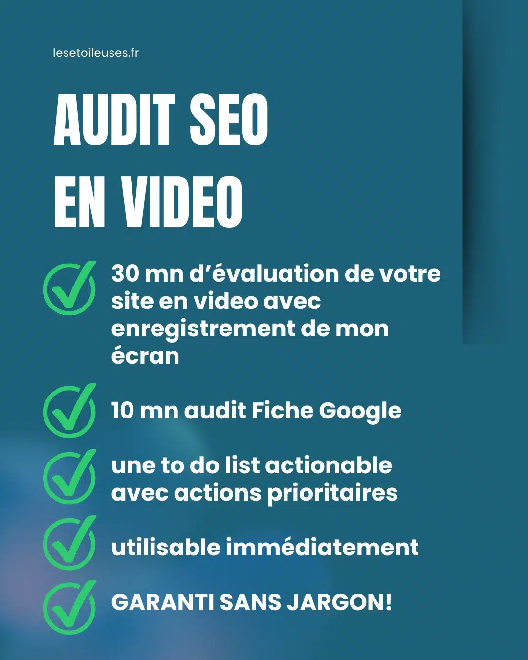 audit seo video